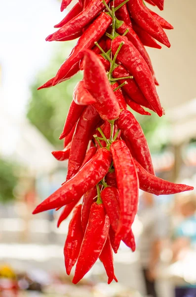 Piments rouges gros plan — Photo