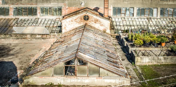 Altes verlassenes Gewächshaus — Stockfoto