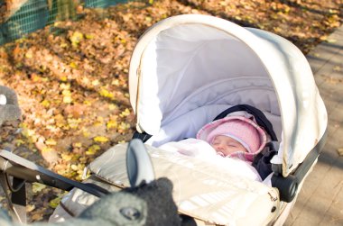 sonbahar parkta yeni doğmuş uyku bebek arabası