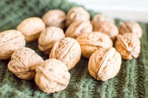 Walnuts shell closeup — Stock Photo, Image