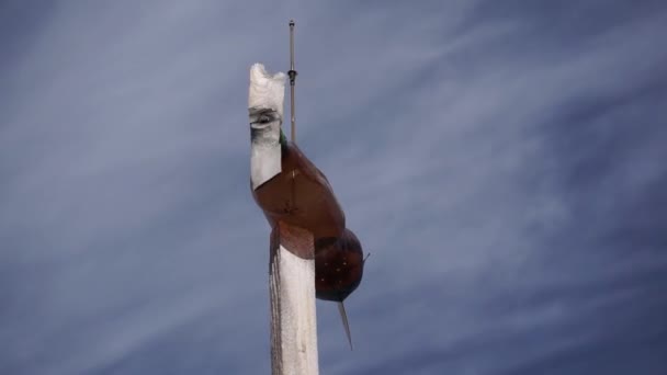 Um weathervane caseiro, um ponteiro de direção do vento feito com as mãos de uma garrafa de plástico, lâminas forradas de madeira, cauda feita de plástico — Vídeo de Stock