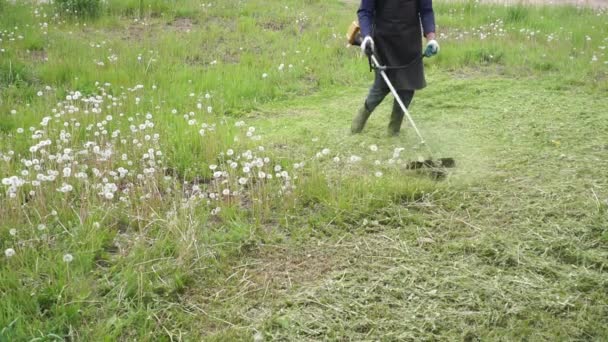 Un uomo con gli stivali di gomma falcia erba verde e denti di leone bianchi con un trimmer a benzina. Controllo erbacce, manutenzione del giardino — Video Stock