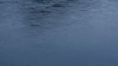 Koyu mavi su akıntısı ve suya düşen yağmur damlaları. Nehirde yağmur