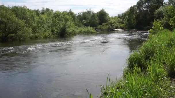 Un piccolo fiume siberiano con una forte corrente, estate, giornata nuvolosa — Video Stock