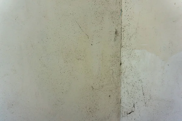 Black mold on the walls, repair, getting rid of mold