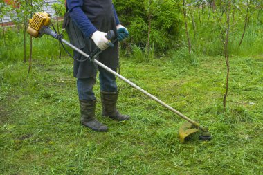 Lastik çizmeli bir adam yeşil çimenleri ve beyaz karahindibaları benzin makası ile biçiyor. Ot kontrolü, bahçe bakımı