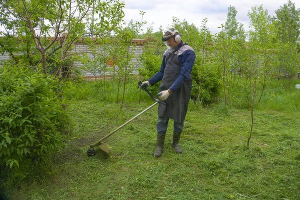 一个穿着橡胶靴的男人用汽油修剪器修剪青草和白色蒲公英 杂草控制 花园维修 图库图片