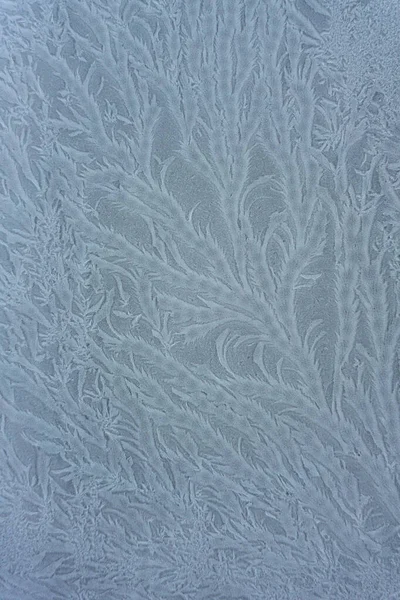 Frost patterns on the window of Winter strong frost. Siberia