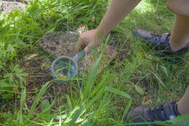 Elinde büyüteç olan bir çocuk bir böceği ve çimenlikteki diğer böcekleri inceliyor. Gökyüzü büyüteçle yansıtılıyor..