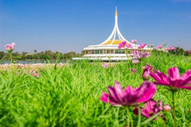 Pembe çiçekler ve Suan Luang Rama IX. Kruthep, Thailan 'da dinlenmek ve egzersiz yapmak için bir yer.