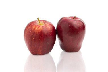 Doku için beyaz arkaplan üzerinde kırmızı elma 