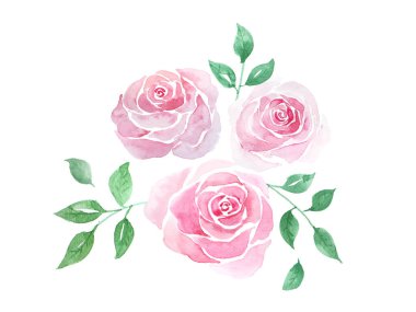 Pink rose watercolor border and frame