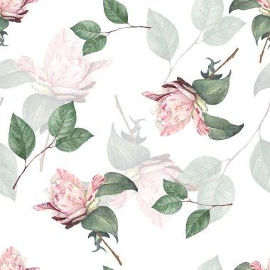 Gül suluboyasının kusursuz arkaplanı