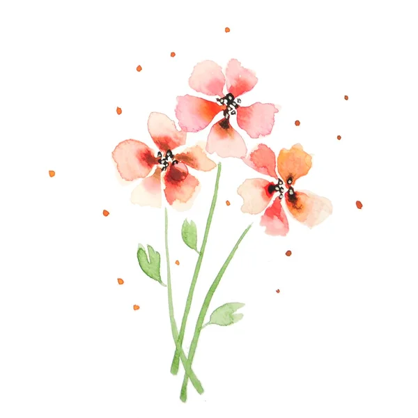 Red Flower Watercolor White Background — Stock Photo, Image