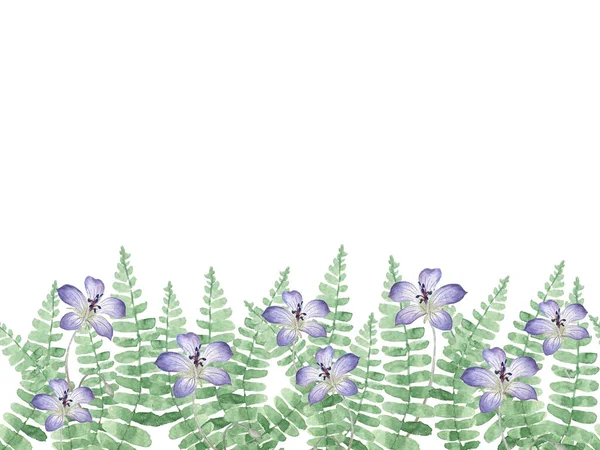 Seamless Border Flowers Fern Leaves Watercolor — Φωτογραφία Αρχείου