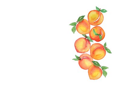 Suluboya meyve şeftalisi beyaz arkaplanda izole