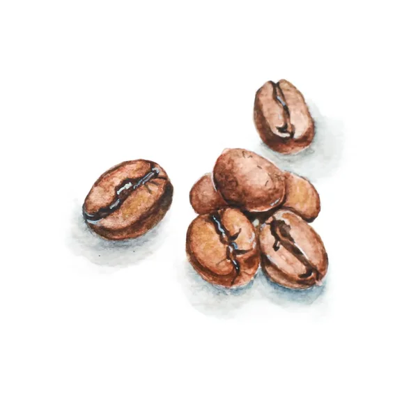 Grano Café Acuarela Pintura — Foto de Stock