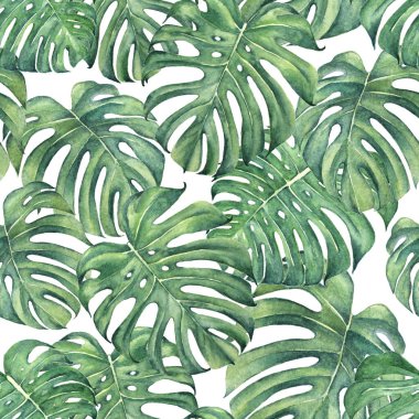 Canavar yaprağı suluboya kusursuz arkaplan