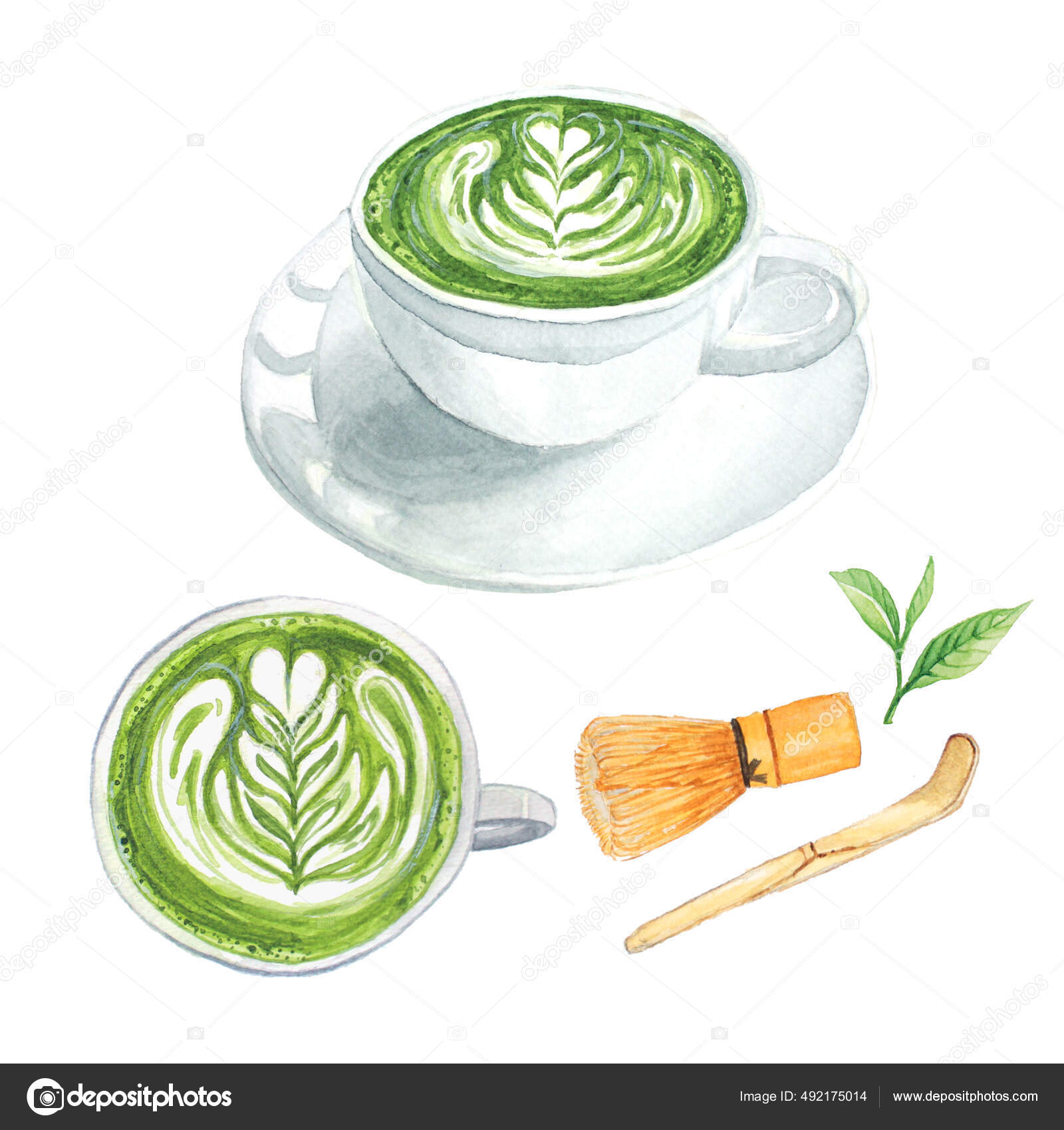 Matcha Latte Milk Green Tea Watercolor Matcha Equipment Whisk Spoon