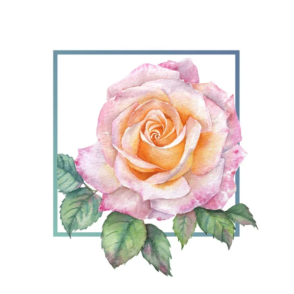 Frame Pink Rose Watercolor Painting — Stock Photo, Image
