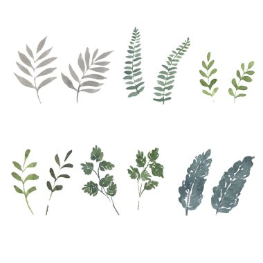 Beyaz arkaplanda suluboya resim bırakır