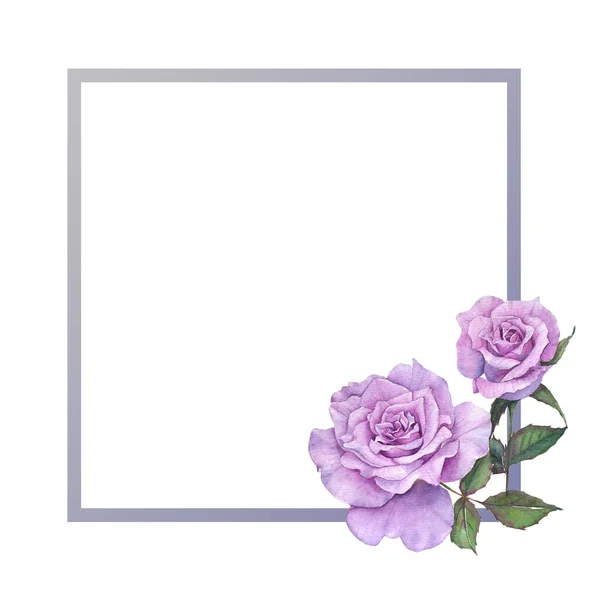 Rám Fialové Růže Akvarel — Stock fotografie