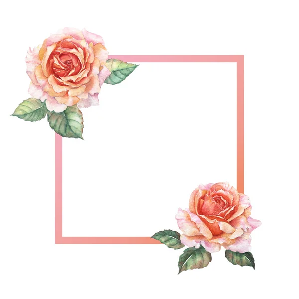 Frame Orange Rose Watercolor — Stock Photo, Image