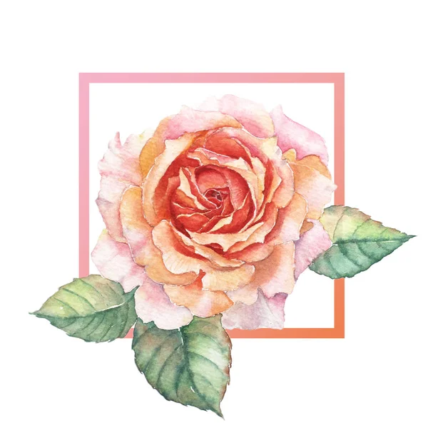Ramka Pomarańczowej Róży Akwarela — Zdjęcie stockowe
