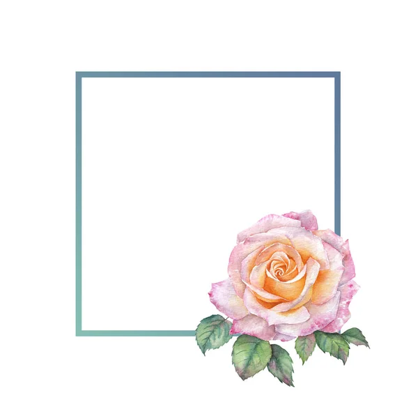 Frame Pink Rose Watercolor — Stock Photo, Image