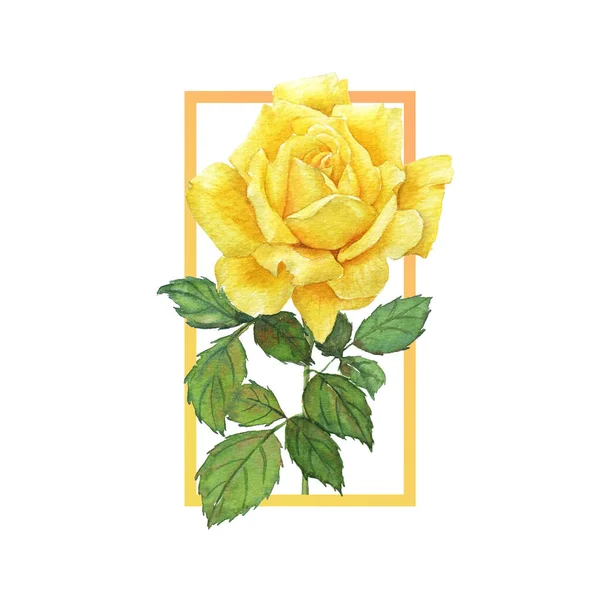 Frame Yellow Rose Watercolor — Stock Photo, Image