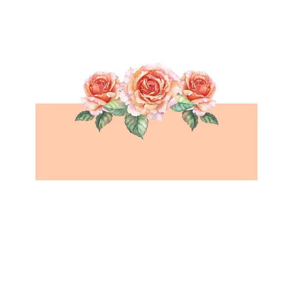 Rose Arancioni Pittura Acquerello Bordo Cornice — Foto Stock