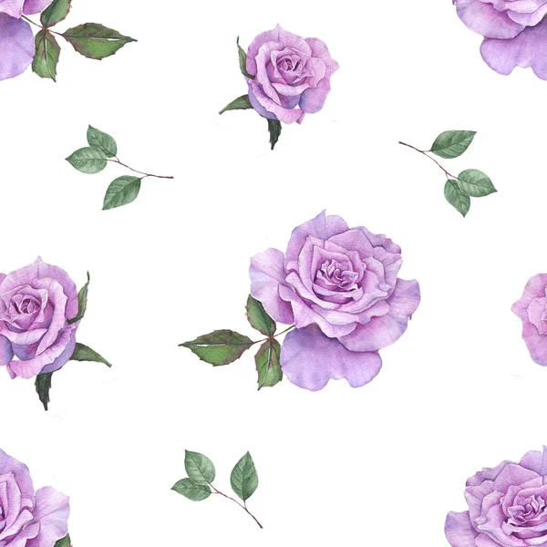 Purple Roses Watercolor Painting Seamless — Stock Photo, Image