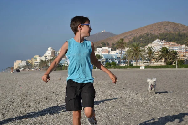 Boy Running Beach White Maltese Bichon Dog Maltese Dog Mountains — Stock Photo, Image
