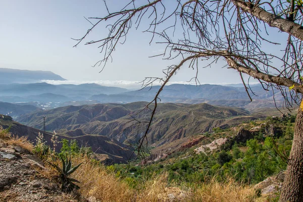 Alpujarra Krajina Údolími Strže Hory Nízký Mrak Pozadí Větve Stromu Royalty Free Stock Obrázky