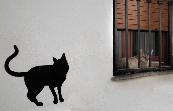 Silhouette Gatto Nero Dipinto Sulla Parete Una Casa Bianca Larole — Foto Stock