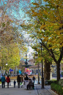 Granada, İspanya, 24 Aralık 2016: Granada Bulvarı veya sokak adı Carrera de la Virgen. Sarı yapraklı uzun ağaçlar, Noel ışıkları, kestane tezgahı, yürüyen insanlar ve arka plandaki çeşme.