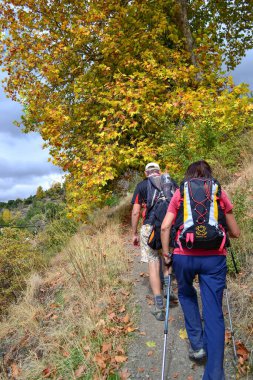 Alpujarra 'da dar bir yolda yürüyen yürüyüşçüler sonbaharda sarı, yeşil ve kırmızı yapraklı bir ağacın altından geçerler.