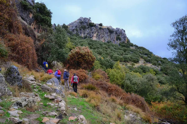 Gruppo Escursionisti Che Camminano Salita Sentiero Nella Sierra Huetor Autunno — Foto Stock