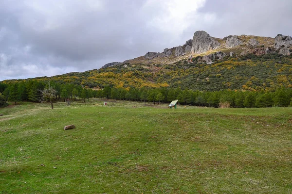 Spianata Con Erba Verde Una Foresta Sottostante Montagne Sullo Sfondo — Foto Stock