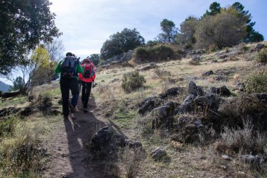 Yürüyüşçüler sonbaharda Sierra de Huetor 'da bir yamaca tırmanırlar.