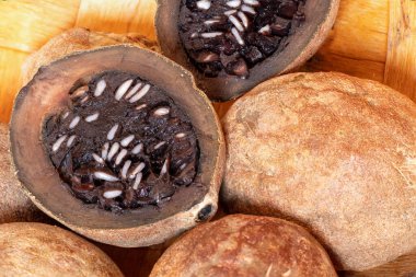 Genipapo veya Jenipapo, Brezilya 'nın demir bakımından zengin bölgelerinden tipik bir meyvedir. Genipa americana. Egzotik meyveler olgun ve açık. Gastronomi