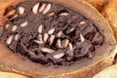 Genipapo veya Jenipapo, Brezilya 'nın demir bakımından zengin bölgelerinden tipik bir meyvedir. Genipa americana. Egzotik meyveler olgun ve açık. Gastronomi