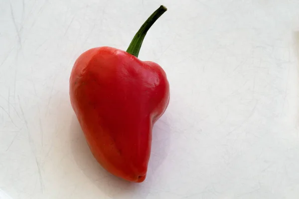 Uma Pimenta Vermelha Orgânica Prato Branco Gastronomia Comida Orgânica Comida — Fotografia de Stock