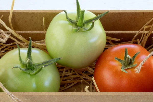 Tomates Biologiques Dans Une Boîte Main Nourriture Biologique Vie Saine — Photo