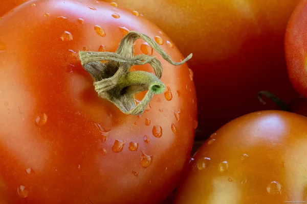 Détail Une Macrophotographie Tomates Biologiques Sortant Potager Nourriture Végétalienne Artisanat — Photo