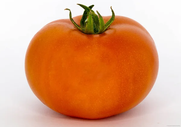Organic Tomato White Background Vegan Food Minimalism — Stock Photo, Image