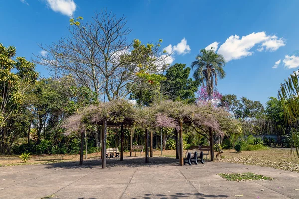 Wooden Gazebo Covered Plants Square Streets Brasilia Brazil Urbanism Nature — Stock Photo, Image