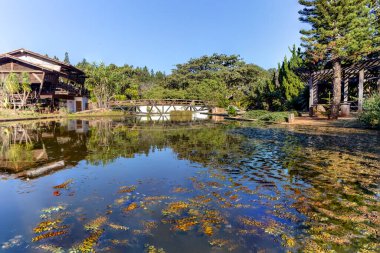 Tahta köprü, ormanın ortasındaki bir gölün üzerindeki iki kulübeyi birbirine bağlar. Güneşli bir gün. Mavi gökyüzü.