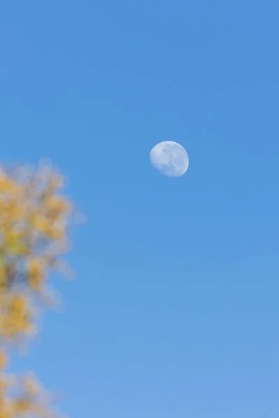 Una Luna Calante Che Sorge Nel Cielo Blu Una Mattina — Foto Stock