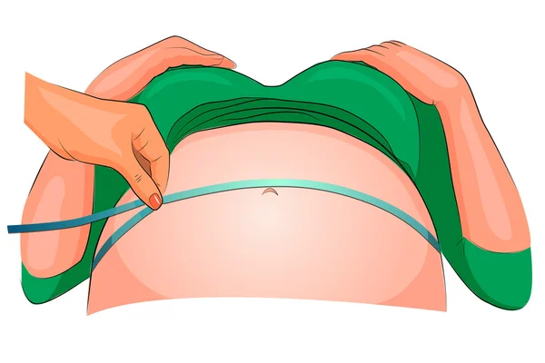 The dimension of the abdomen of a pregnant woman — Stock Vector